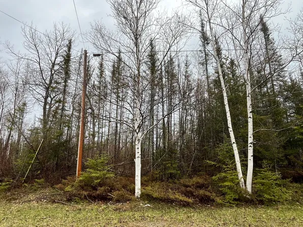 LOT 170 Timberway Dr, Presque Isle, MI 49777