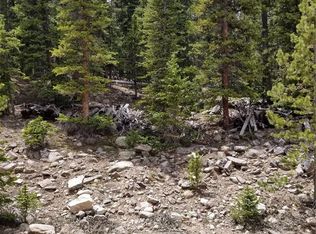 313 Porcupine Rd, Fairplay, CO 80440