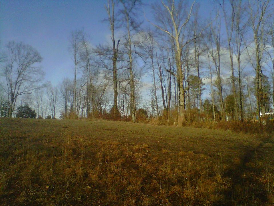 1st image of 9891 Falcon Crest Dr Lot 41