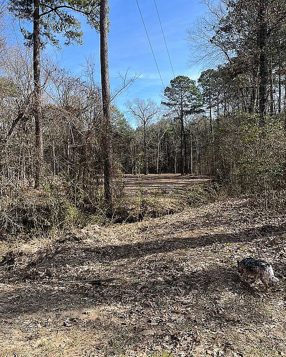 2nd image of 148 E Cloverleaf Dr