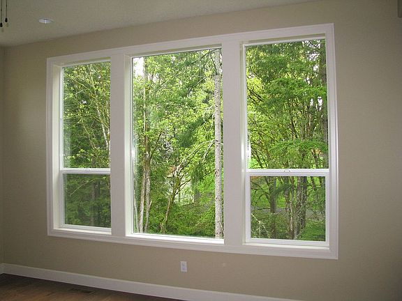 Living Room Windows