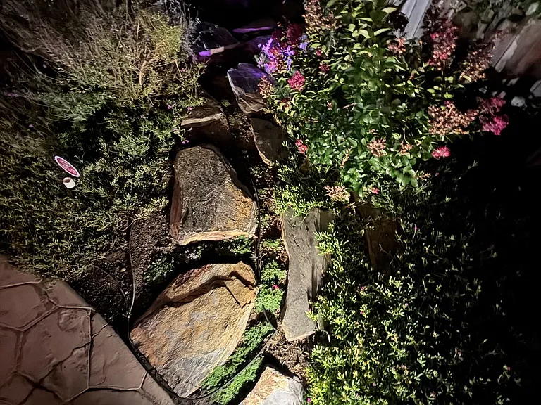 Gala Ct — Photo 37