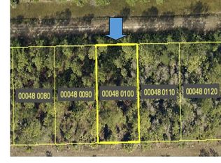 2419 Jetridge St, Alva, FL 33920
