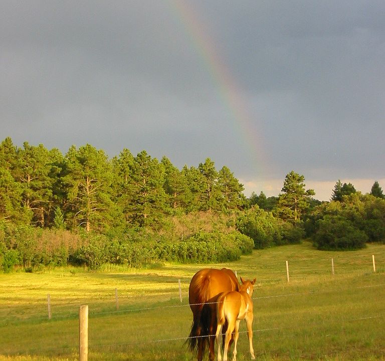 View from back deck