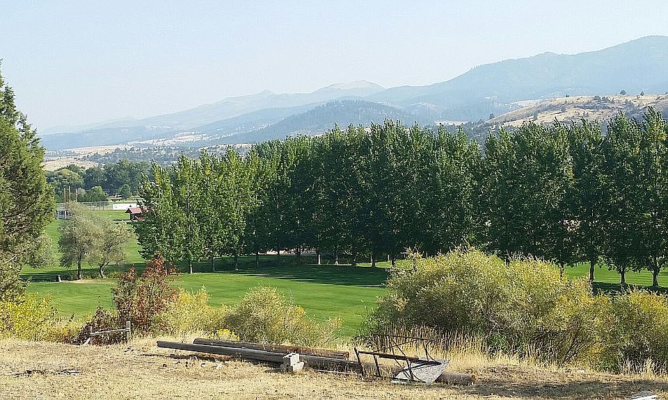 View from Home