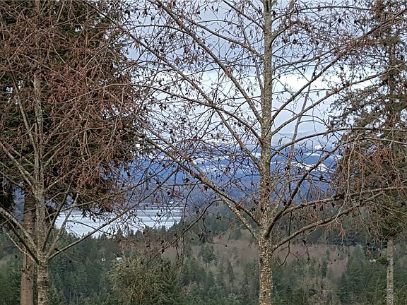 2nd image of 115 Sugar Pine Pl