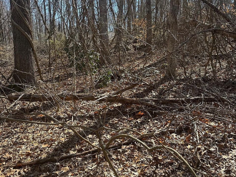 1st image of LOT 789 Poplar Dr