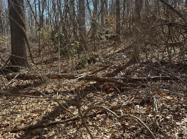 LOT 790 Poplar Dr, Louisa, VA 23093