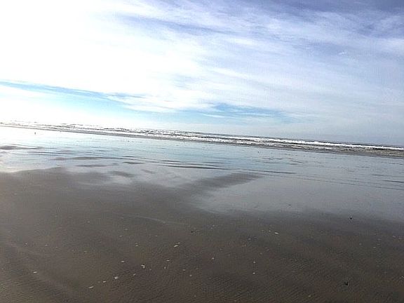 Beautiful Pacific Ocean 