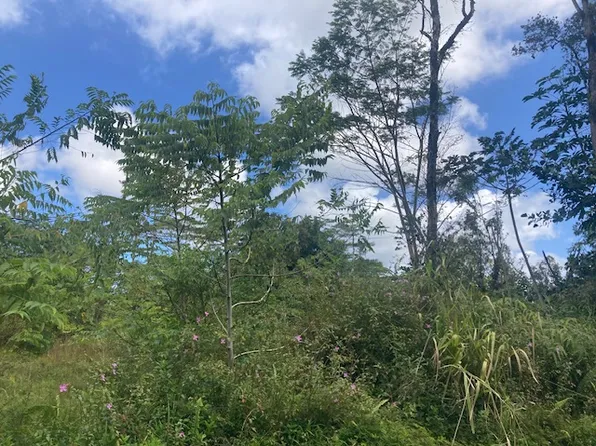 14-3479 Shell Rd Lot 931, Pahoa, HI 96778