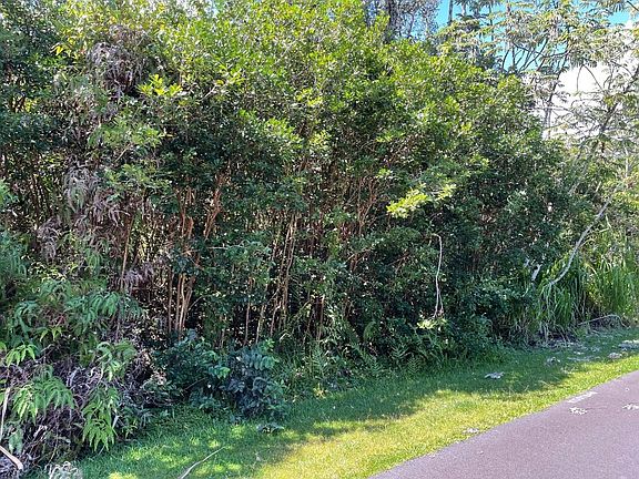4th image of Manalo St Lot 1048