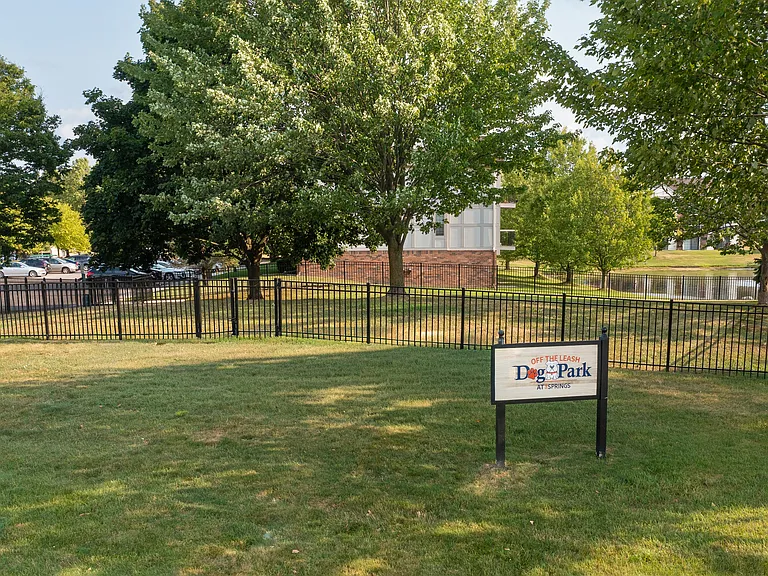 The Springs Apartment Homes — Photo 49