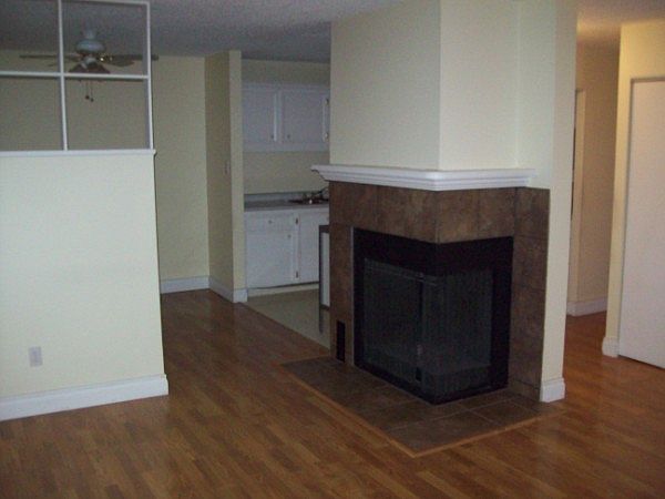 Fireplace_05112015