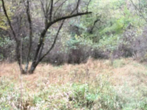 1 Timbertree Branch Rd, Hiltons, VA 24258