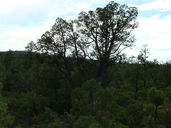 2nd image of 2380 S Twin Peak Trl