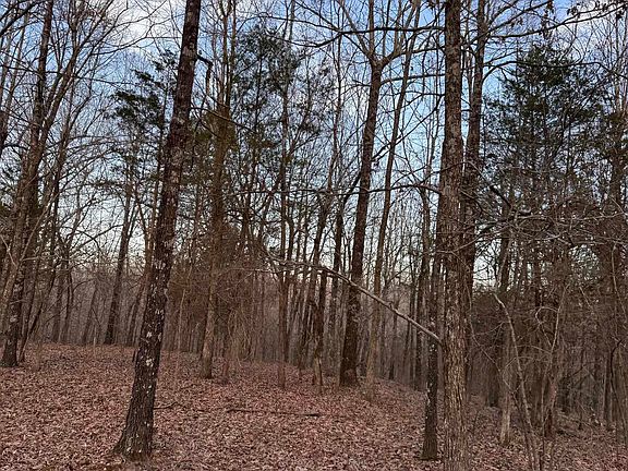 5th image of County Road 470