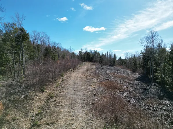 L-7 McGinley Road, Springfield, ME 04487