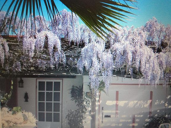 2nd image of 1041 Polk Ave