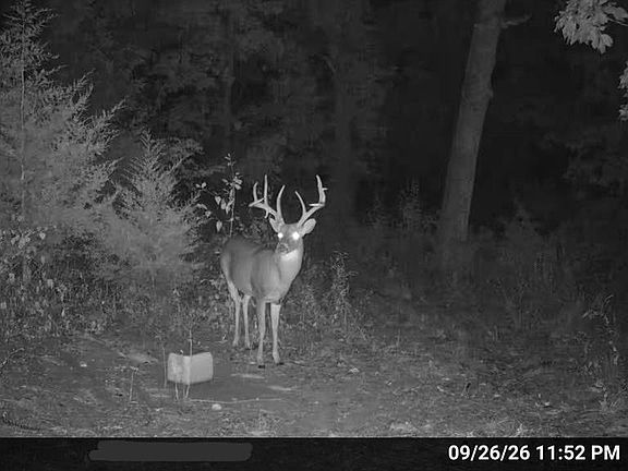 5th image of 18133 Cincinnati Rd