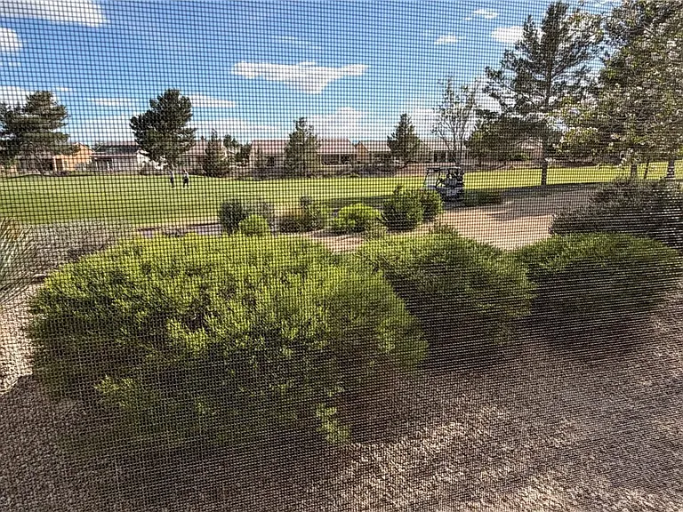 2205 Willow Wren Dr — Photo 15