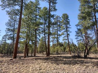 677 Kohners Ridge Dr, Happy Jack, AZ 86024