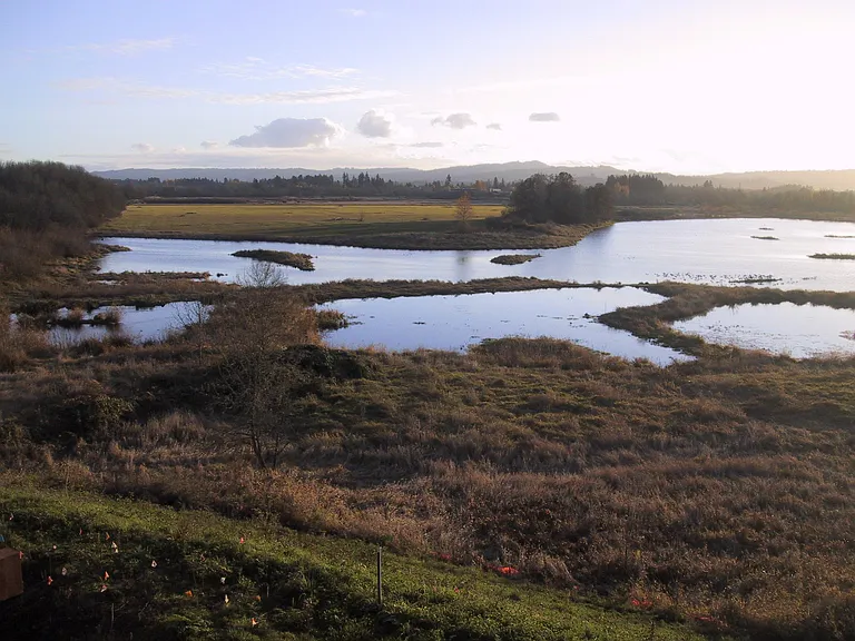 beautiful wide open view of wetlands across the street from