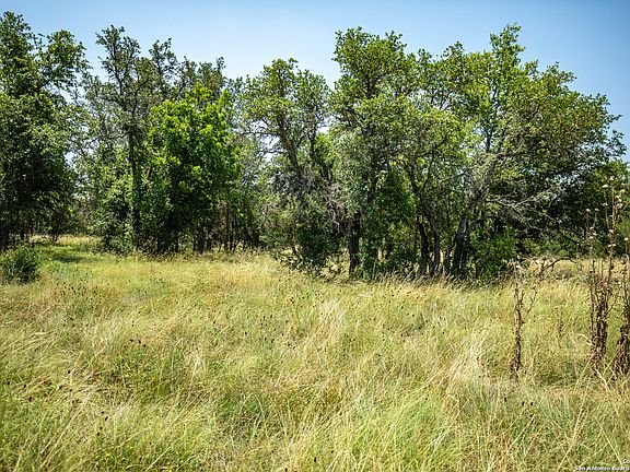 4th image of 161 Steel Creek Crest