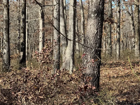 0 Ridgewood Dr Lot 9, Mc Ewen, TN 37101