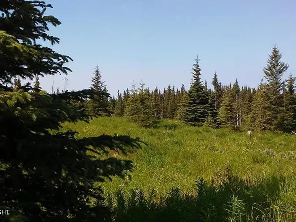23499 & 23563 Crazy Woman Rd, Ninilchik, AK 99639