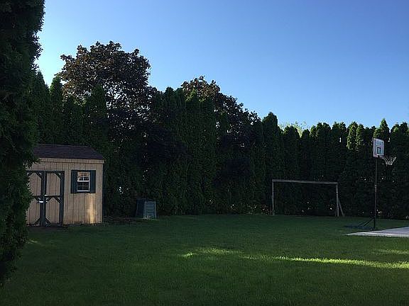 Rear yard view