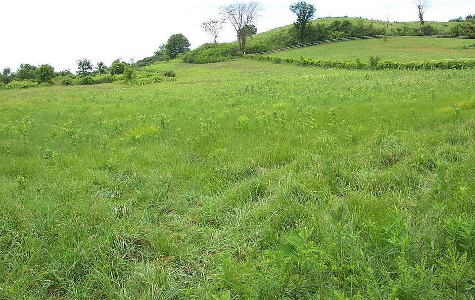 1st image of Lot 2 520th Street