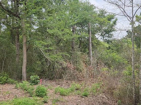 3rd image of LOT 10 Sweetleaf Ln