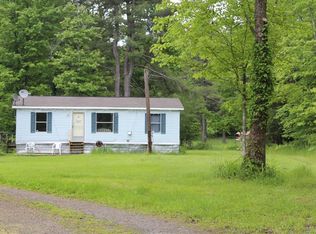 109 Phelps Ln, Afton, NY 13730