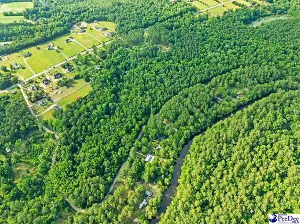 1047 Roundtree Rd, Effingham, SC 29541