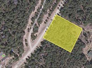 Texas Cir, Idaho Springs, CO 80452