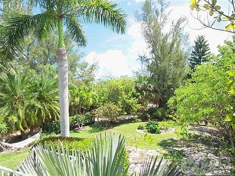 Front garden.