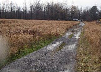 4th image of 5911 Radwancky Dr