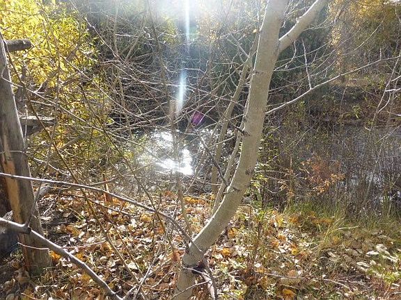 2nd image of 58351 E Fork Dr