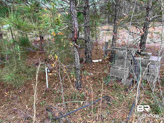 5th image of 4967 Kirkland Rd