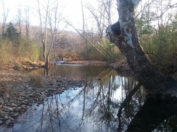 0 Brattons Run, Goshen, VA 24439