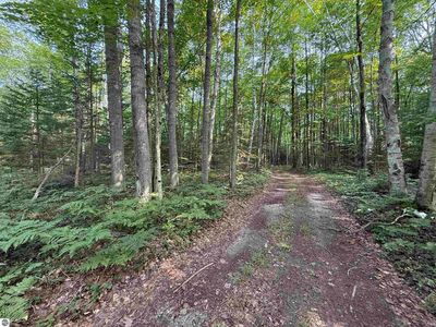 S Poor Farm Rd, Greenbush, MI, 48738