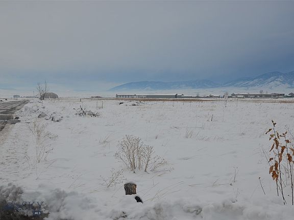 5th image of Tbd Jackrabbit