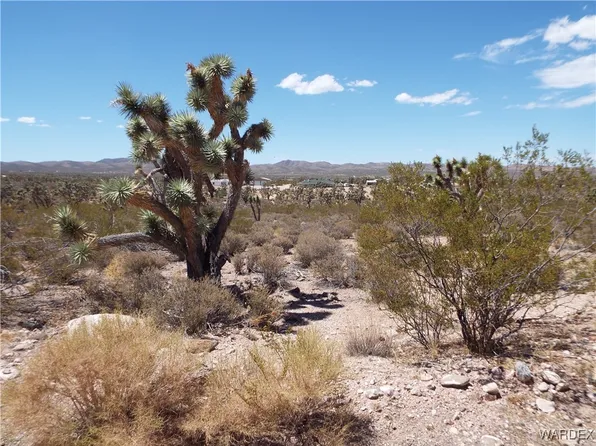 26945 N BULLHEAD Road, Meadview, AZ 86444