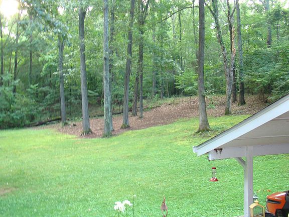 partial view / backyard
