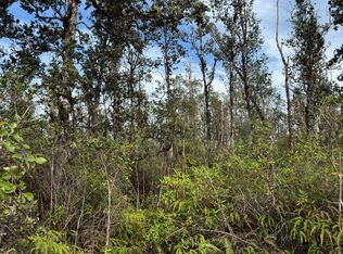 40th St LOT 76, Kurtistown, HI 96760