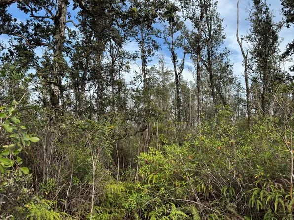 40th St Lot 76, Kurtistown, HI 96760