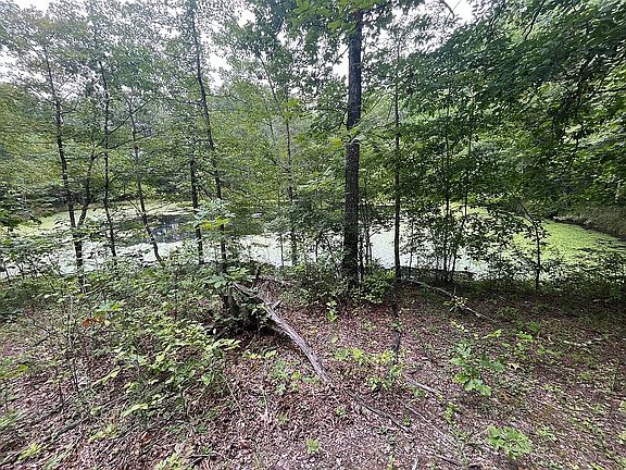 Spring fed pond. 