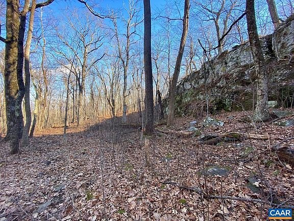 5th image of 462 Deer Springs Ln