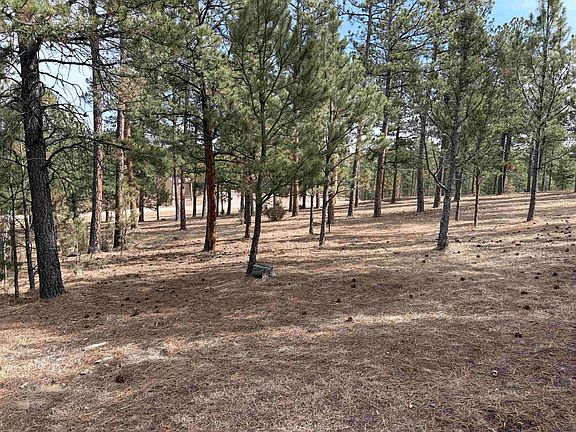 3rd image of Gunsmoke Ln