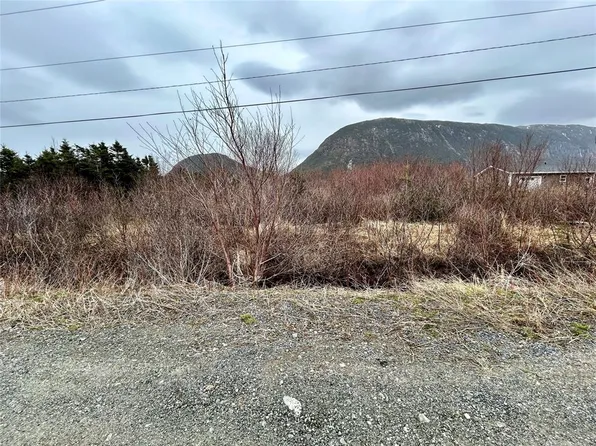 5 Harbourview Road, Lark Harbour, NL A0L1H0